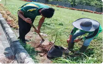 Kebersihan Taman Image